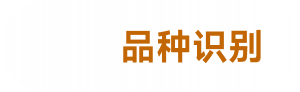 品种识别