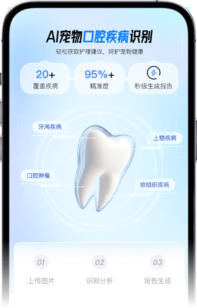 AI宠物口腔疾病识别