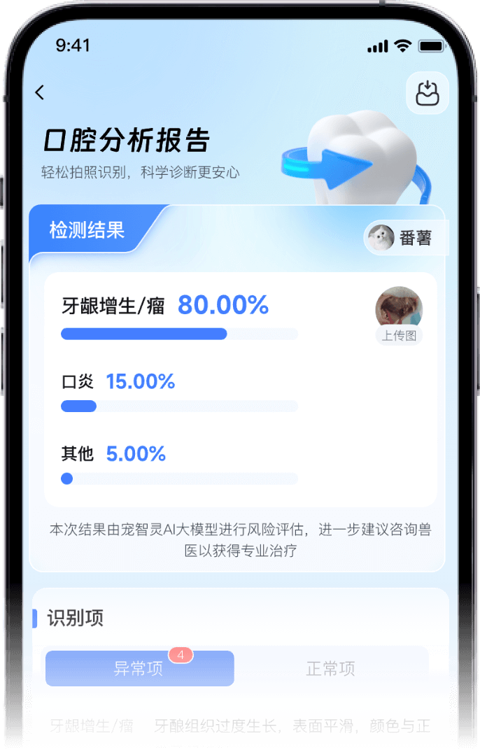 AI宠物皮肤分析报告